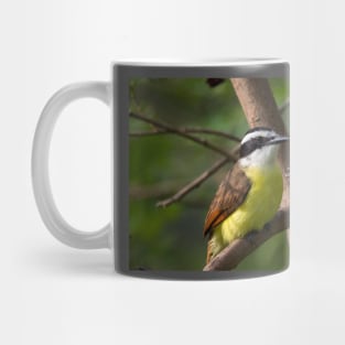 Great Kiskadee Perched Mug